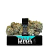 PLUGPLAY DNA Fire OG