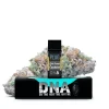 PLUGPLAY DNA Girl Scout Cookies