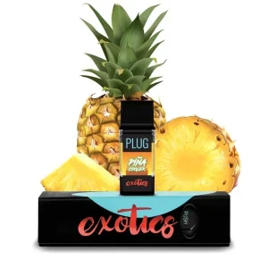 PLUGPLAY EXOTICS Piña Cooler