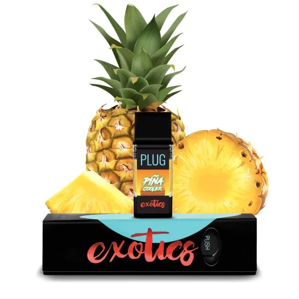 PLUGPLAY EXOTICS Piña Cooler